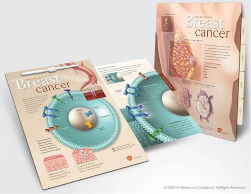 Components from a GSK Oncology program